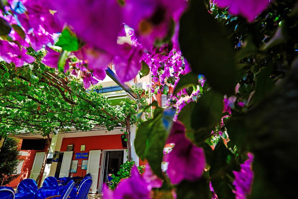 Villa Bojana Budva Exterior photo